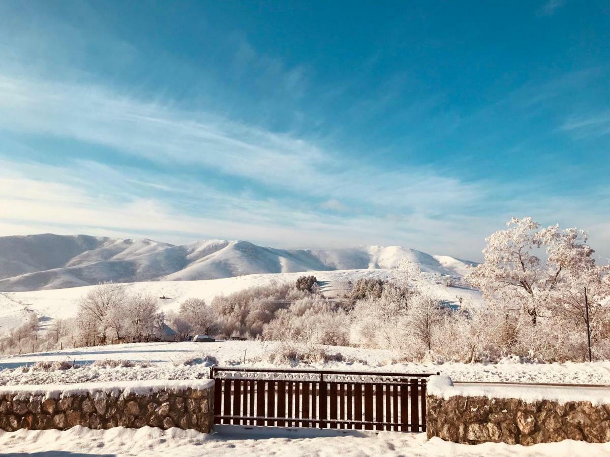 Zlatibor Cottages Екстериор снимка